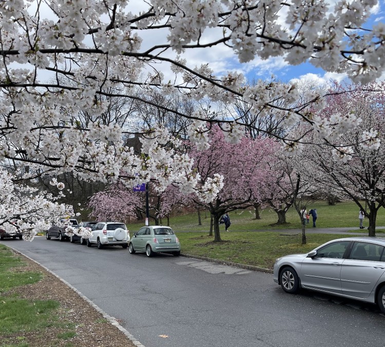 Cherry Blossom Welcome Center (Newark,&nbspNJ)